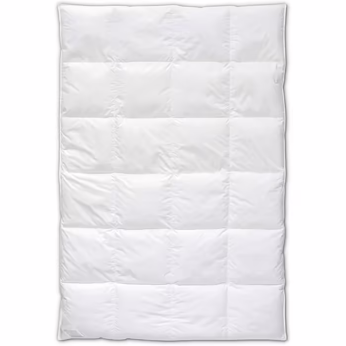 Bohemian Forest Selection Down Comforter, suitable for allergy sufferers, 100% down, fill weight: 1,780g, warmth class: extra warm, size: 200x200 cm, Oeko-Tex Standard 100 200 x 200 cm extra warm warmth class