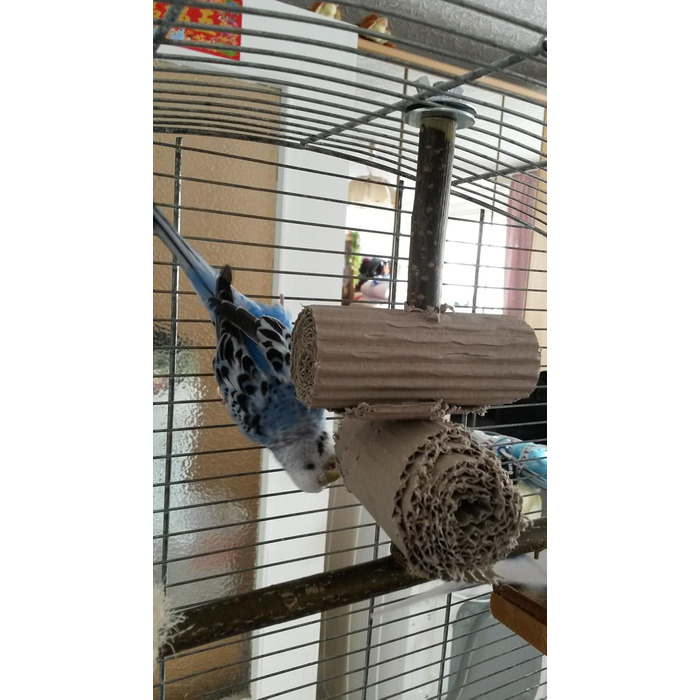 6-Piece Shredder and Nibbling Set for Birds | Basic Equipment for Bird Owners | Budgie Toy | Cockatiel Toy