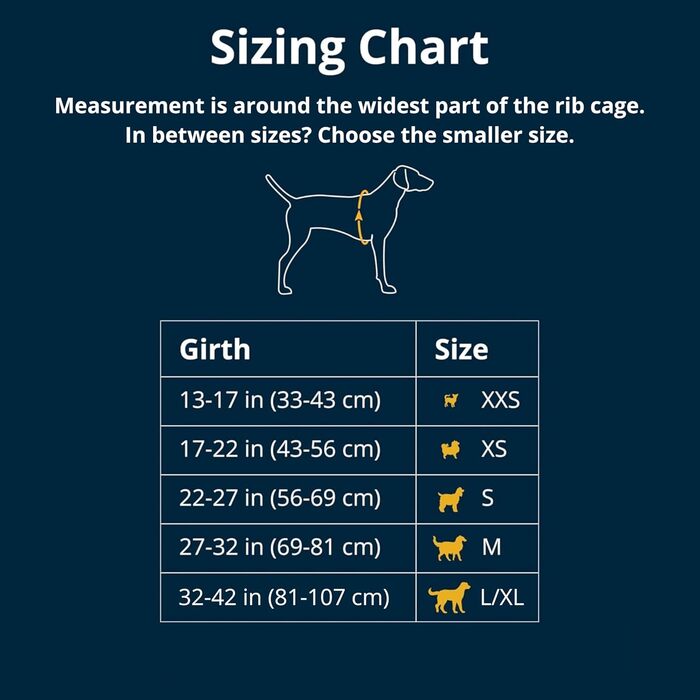 Шлейка для собак Ruffwear Web Master, помаранчевий, середній, з ручкою, надійна, для прогулянок та походів