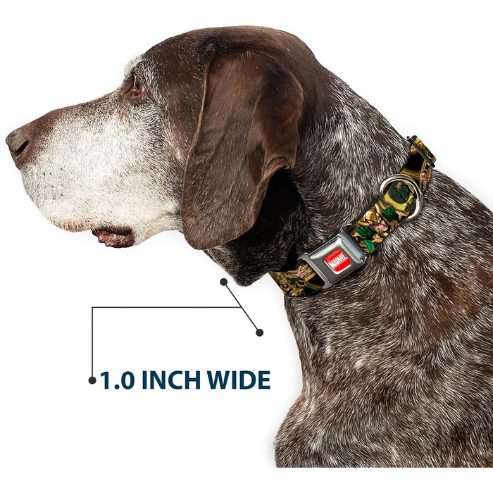 Нашийник для собак Marvel Loki Universe Buckle-down, чорний/золотий/зелений, 22,9–38,1 см (9-15 дюймів), ширина 2,5 см