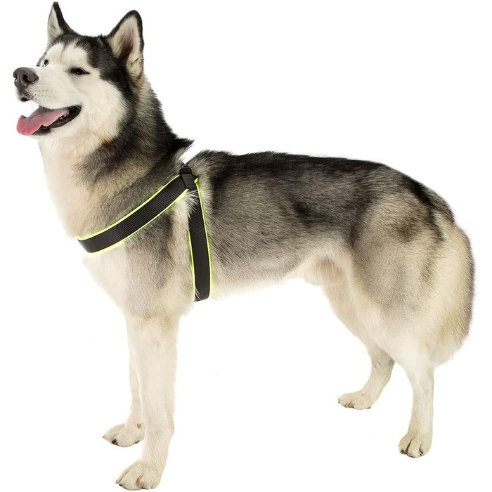 Шлейка для собак Ferplast Agila Fluo 3, неонове зелений, розмір 3 (37-57 см), м'яка підкладка, регулювання шнурком