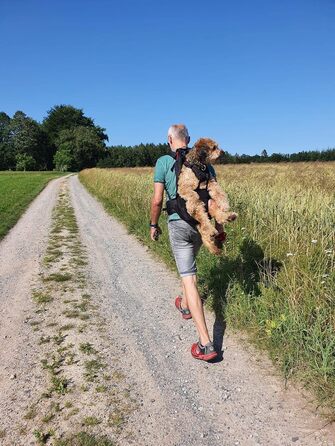 Преміум рюкзак для собак, переноска для собак 11-18 кг, система підтримки 4-х ременів