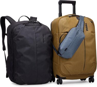 Thule Aion - дорожній та пляжний мішок (1 шт., Темний Сланцевий колір)