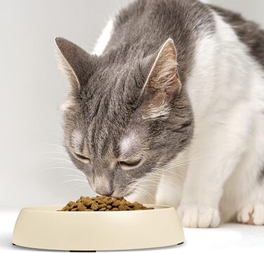 Набір мисок для котів CatGuru 2 шт. (пісок): широкий, протиковзкий, для зменшення стресу та втоми