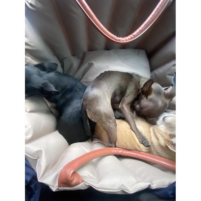 Автомобільний лежак для собак у багажник - переноска-сидіння для маленьких собак, 55x42x42 см, темно-хакі