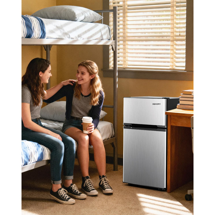 EUHOMY Міні холодильник 46L, компактний холодильник з регулюванням температури, тихий (38dB), енергоефективний для спальні, офісу, сріблястого та чорного кольорів