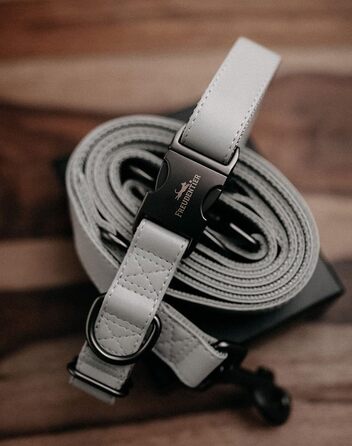 Dog Collar with 2m Leash Set - Adjustable Dog Leash - Dog Collar for Large Dogs, Collar for Small & Medium Dogs - Dog Collar & Leash - Includes Gift Box (30-40cm)