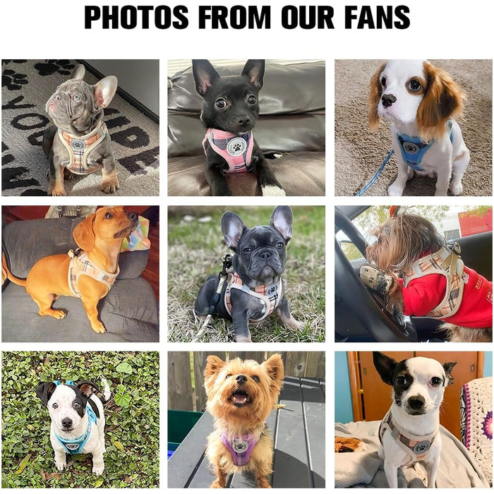 Шлейка та поводок для собак та котів Beautyzool, м'яка сітчаста тканина, світловідбивачі, для дрібних та середніх цуценят, в клітинку, XS/S (обхват грудей 37-41 см)