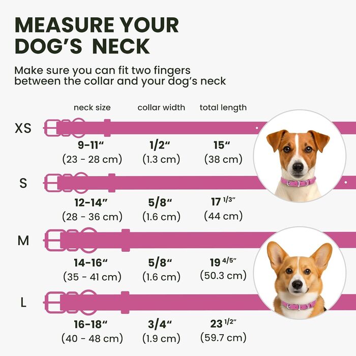 Нашийник для собак BRONZEDOG з шкіри, з QR-ідентифікатором (рожевий) - S: 35-41 см, XS: 23-28 см
