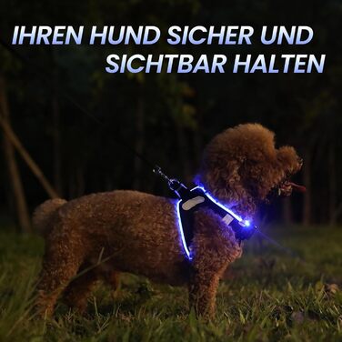 Світлодіодне обіднє нашийник для собак PcEoTllar: безпека та стиль для вашого улюбленця. Зручний, світловідбиваючий, з 3 режимами освітлення, підходить для собак маленьких та середніх порід.