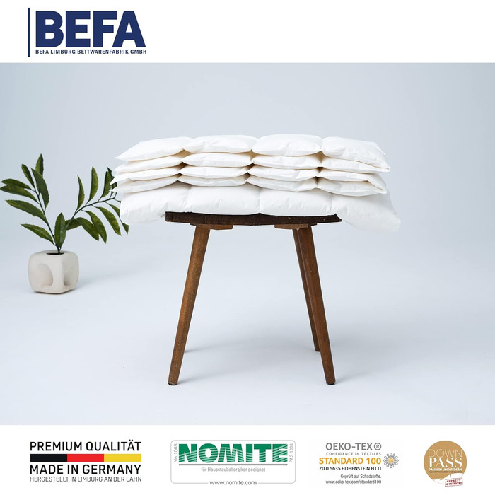 BEFA NATUR Made in Germany Down Comforter 155x220 cm made of 90% goose down and 10% feathers, summer duvet, suitable for allergy sufferers, Öko-Tex 100 Class 1 certified, Downpass (2 pieces) 155 x 220 cm (2 pieces) summer duvet