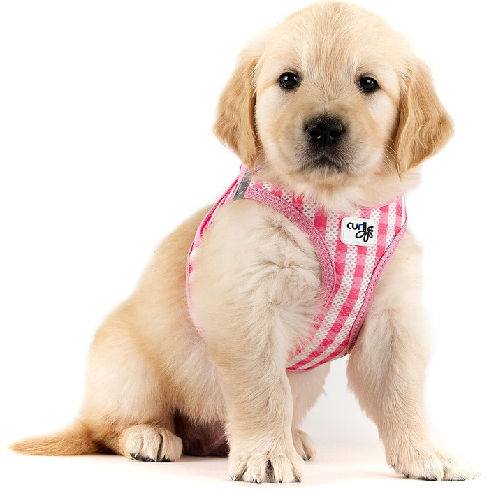 Шлейка для собак Curli Clasp Air-Mesh M (Рожевий-Каро) з повідком