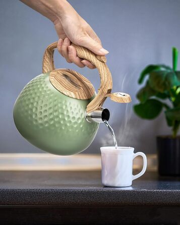 Чайник для заварювання чаю Teekessel 2,7 л з емальованим покриттям зеленого кольору з імітацією дерева, з носиком, з нержавіючої сталі, антижаровий ручка оливкового кольору