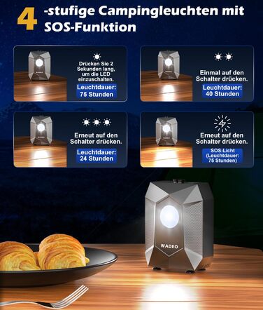 Портативна душова система WADEO для кемпінгу з акумулятором 6000 mAh, LED-підсвічуванням та IPX8 водонепроникністю, 5 режимів тиску. Комплект для відпочинку на природі, подорожей та догляду за тваринами.