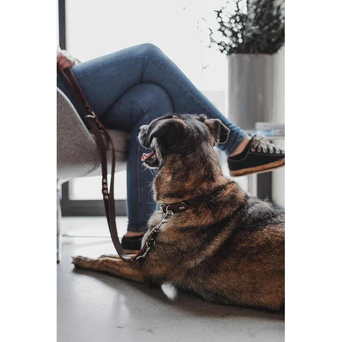 Нашийник для собак HUNTER Grenada з натуральної шкіри, ручної роботи, Німеччина, для тренувань та повсякденного використання, міцний, комфортний, елегантний дизайн, розмір: 39-48 см, колір: темно-коричневий