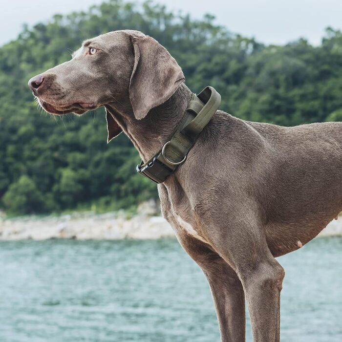 Нашийник для собак OneTigris Ranger з металевою застібкою, зелений, розмір M
