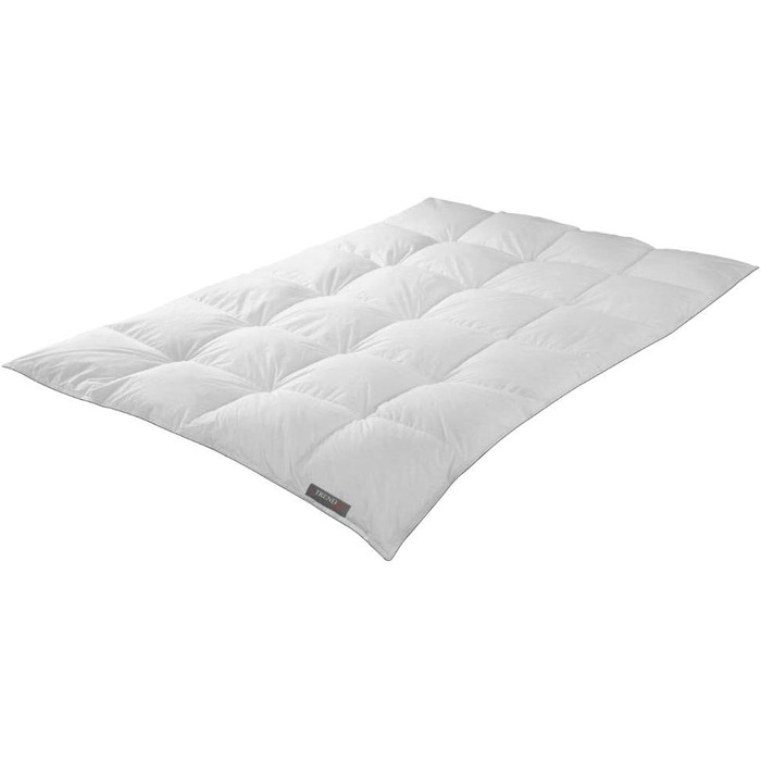 Badenia Trendline Comfort Down Duvet, warm winter duvet with 90% down & 10% feathers of Class I, 135 x 200 cm, Down Pass tested & Öko-Tex certified, produced according to German quality standard 135 x 200 cm Warm Comfort Winter Duvet