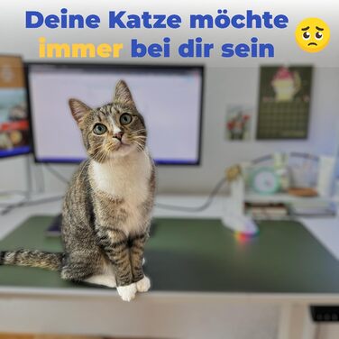 Столик для дому та офісу з кошиком для кота - зручний, стабільний та миючий - діаметр 40 см, посилений, новий