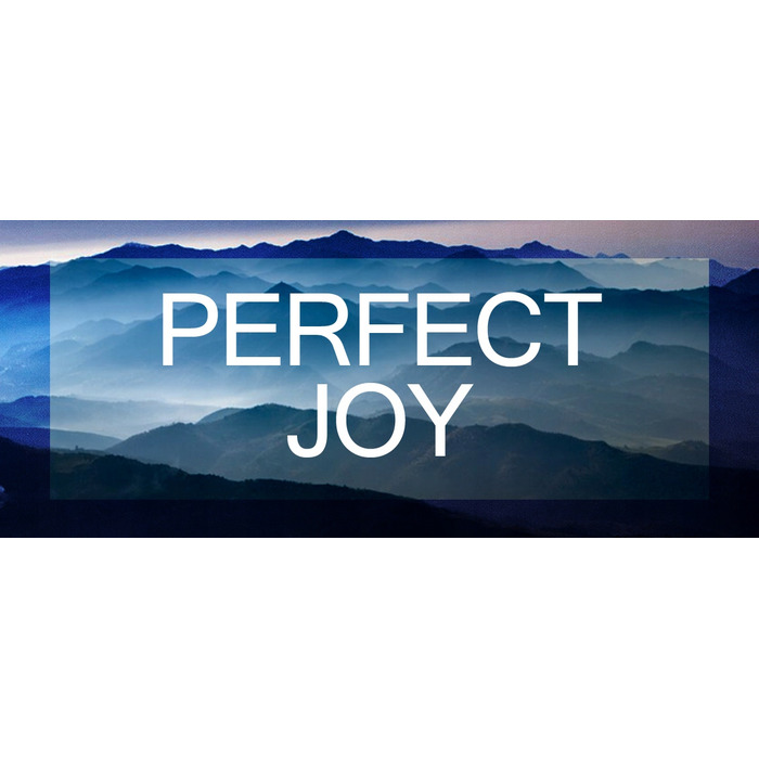Чоловіча парфумована вода JFenzi Perfect Joy, 100 мл