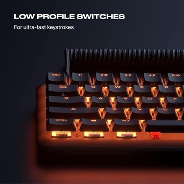 Механічна ігрова клавіатура Fnatic Gear STREAK65 LP з RGB-підсвічуванням, Speed Silver перемикачі, компактний формат 65%, QWERTZ (DE)