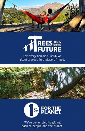 Гамак для кемпінгу ENO DoubleNest, 1-2 особи, спеціальне кольорове рішення ATC Violett / Blaugrün