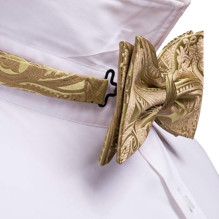 Комплект аксесуарів Barry.Wang для чоловіків: краватка, хустинка, запонки (Paisley, золоті) на весілля та урочисті події