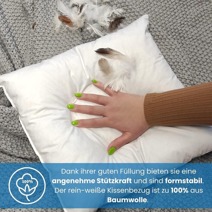 wometo 2er Set Feather Pillow 100% Feathers 40x40-300g oekoTex Pillow Insert Cotton Cover white/Inner Pillow/Pillow Filling/Small Head Pillows (2 pieces) 40 x 40 cm