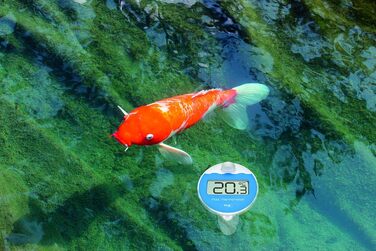 TFA Dostmann Digital Floating Pool Thermometer Marbella, 30.3066.01, floating, easy to read, for swimming pool, pond, ice bath, water temperature, including temperature water transmitter, radio clock, black