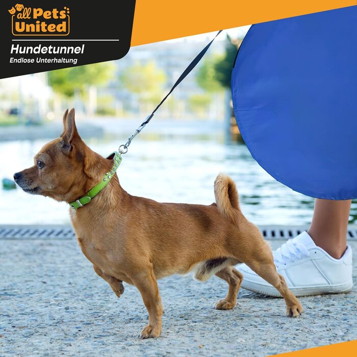 Туннель для аджиліті для собак - ігровий тунель, тунель для аджиліті, собача печера, з кілочками та сумкою для перенесення, 300 x 50 см, 300 см