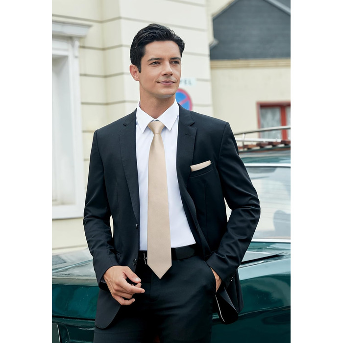 HISDERN Комплект краватки та нагрудного хустинки в клітинку для чоловіків, формальний стиль, класичний, для весілля, бежевий