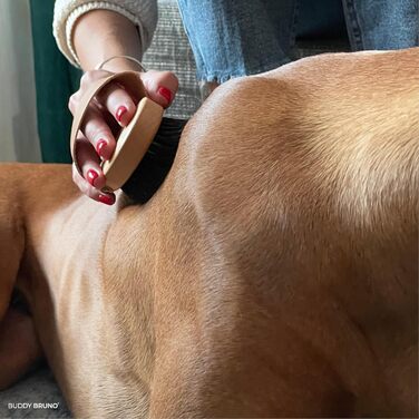 Щітка для собак Buddy Bruno® для короткошерстих порід, 100% натуральна щетина, для щоденного догляду за шерстю, преміум-щітка для собак та котів, з очищувачем, MADE IN DE