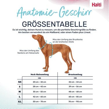 HALTI Anatomy Dog Harness with Handle – Freedom of Movement for Your Dog. 3 Leash Attachment Points, Neoprene Padding, Adjustable and Reflective (Size L, Blue-Green)