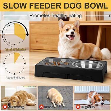 Підвищений годівниця для собак з регулюванням висоти, 5 рівнів, 2 миски з нержавіючої сталі та 1 миска з захистом від протікання. Підвищена станція для годування собак. Підходить для собак маленьких, середніх та великих порід.