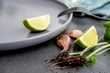 Набір посуду Konsimo VICTO для 6 осіб: 18-ти частинний сервіз з 6 тарілок, сірий - набір посуду для сім'ї