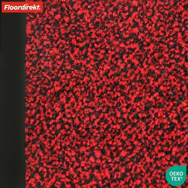 Килимок для підлоги Floordirekt Rhine - миючий, потужний, з антиковзким покриттям - килимок для входу (Sparrow), червоний (меланж), 80x120 см