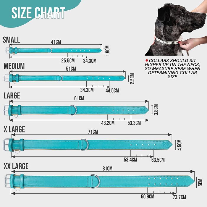 Riparo Genuine Leather Adjustable Dog Collar with Additional Reinforcement (: 4.5CM Wide for 53.4CM - 63.5CM Neck, ) (L, Aqua)