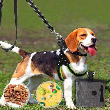 Водонепроникна сумка для ласощів для тварин AYNKH, професійна сумка для тренування цуценят та собак, з регульованою застібкою, багатофункціональна для подорожей та відпочинку на природі