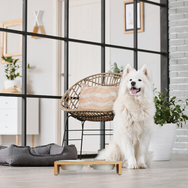 Relaxdays Dog Feeding Station