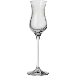 Leonardo Chateau Grappa Glasses, Set of 6, Dishwasher-Safe Digestif Glasses, Brandy Glasses with Drawn Stem, Goblet with Engraving, 9 cl, 035298
