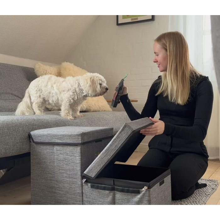 Сходинки для домашніх тварин CLOSE2ME PetStair Deluxe з місцем для зберігання, двоступеневі