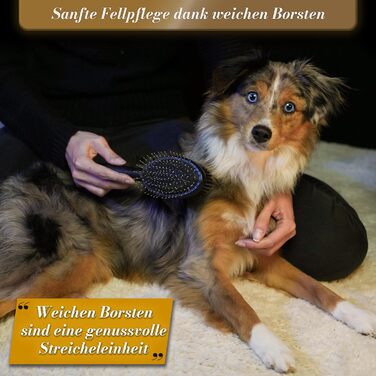 Щітка для собак BluePet 2в1 для довгої та короткої шерсті, для цуценят та котів. Розчісування, вирівнювання, вибирання. Універсальна щітка з щетиною (Чорний, Лімітована серія, M-L)