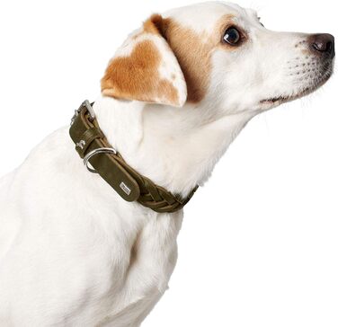 Нашийник для собак HUNTER SOLID EDUCATION SPECIAL, шкіряний, міцний, ручної плетіння, розмір S (45 см), оливковий колір