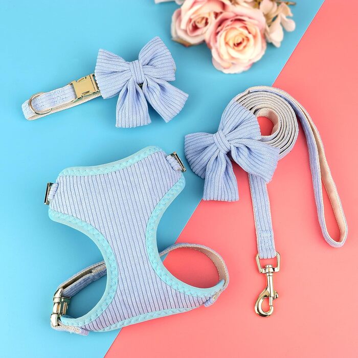 Didog Sweet Collar Harness and Leash Set for Small Dogs, Adjustable Collars and Leashes with Bow Tie, Breathable Soft Mesh Padding for Small Dogs for Walking, S (S: Neck 24-41cm; Chest 33-41cm, Blue)