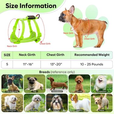 Світловідбиваючий LED нашийник для собак, USB-C, для маленьких собак, XS-S, для прогулянок вночі