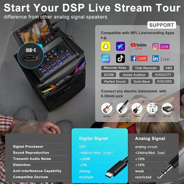 Портативна караоке система з Bluetooth та 2 мікрофонами, 2 x 10” динаміки, USB-C запис, світлові ефекти, FM, підтримка TV/проектора, GTSK210-1