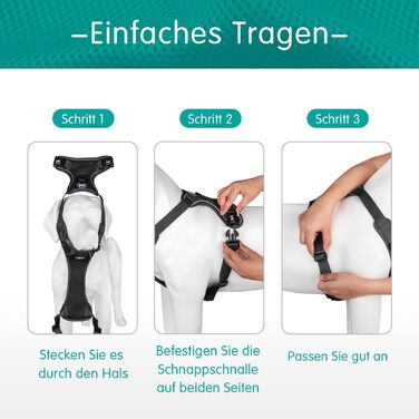 Шлейка для собак PoyPet з м'якої сітки, світловідбиваюча, регульована, чорна (M)