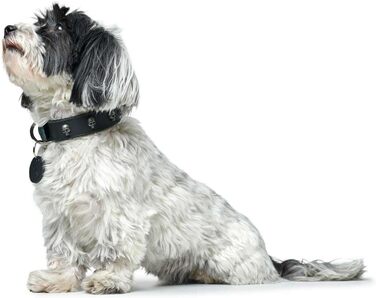 Нашийник для собак HUNTER Tijuana, чорний, з натуральної шкіри, ручної роботи, з декоративними черепами, розмір 55