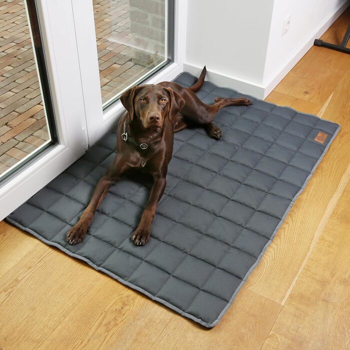Килимок для собак Your Gear 120x80 см з органічної бавовни Oeko-Tex | Ортопедичний лежак для великих собак, водовідштовхуючий, миючий та стійкий до подряпин. Підходить для дому та вулиці