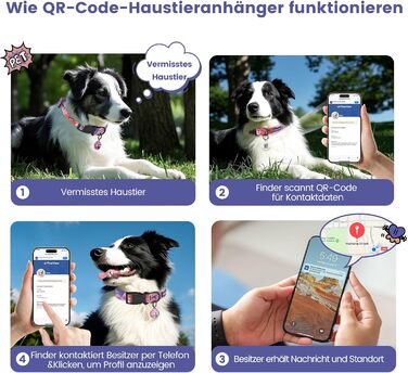 Набір повідка та нашийника для собак, регульований, для щоденних прогулянок, фіолетовий, XS (22-30 см, 1.5 м)