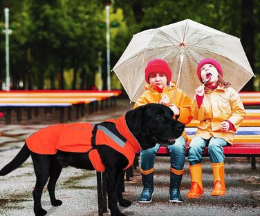 Lautus Pets Dog Raincoat, Waterproof, Reflective, Light with Harness Hole (Orange, 2XL)